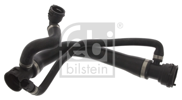 Radiator Hose